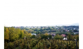 Poze din comună